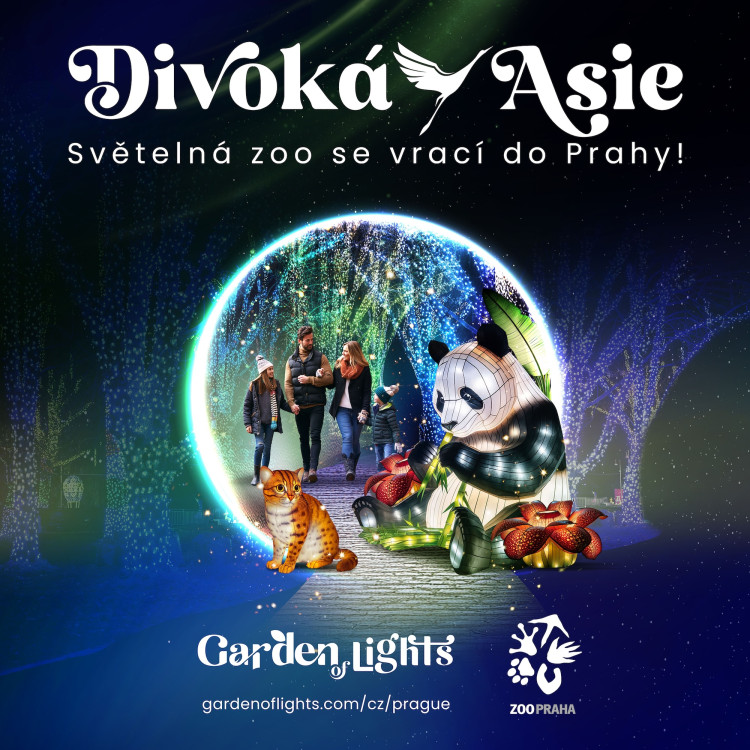 Světelná zoo v pražské zahradě