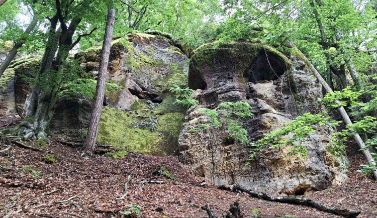 Tip na výlet: Kokořínsko – Mšeno