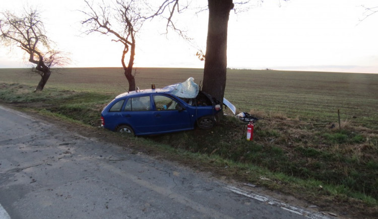 Řidič po nárazu do stromu zemřel