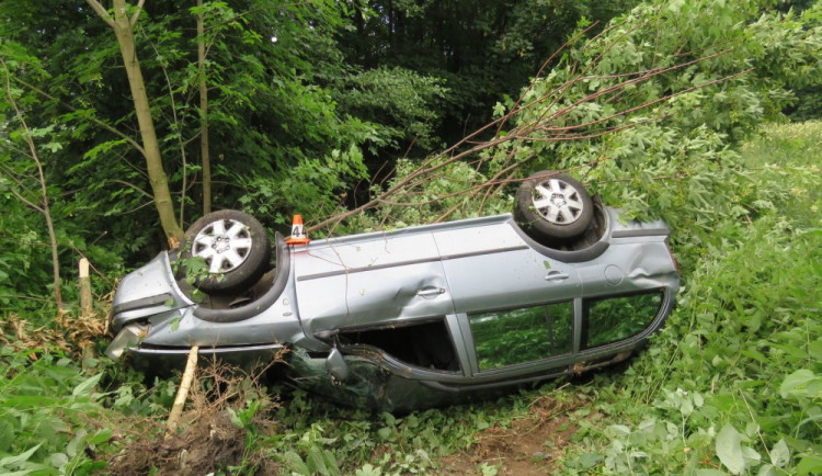 Kvůli srně skončil na střeše