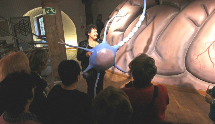 Pevnost poznání se zaměří na seniory, od září pro ně chystá přednášky a cvičení