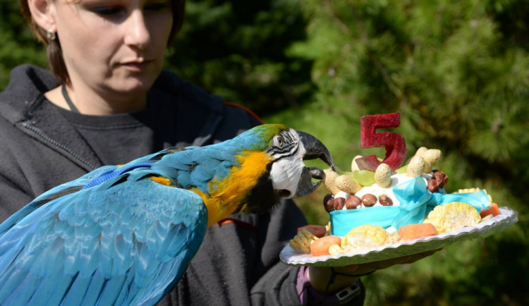 Papoušci v olomoucké zoo mají novou voliéru
