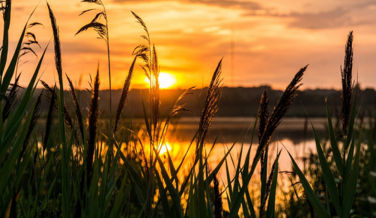 POČASÍ NA STŘEDU: Užijte si slunečný volný den. K večeru se ale raději schovejte před deštěm