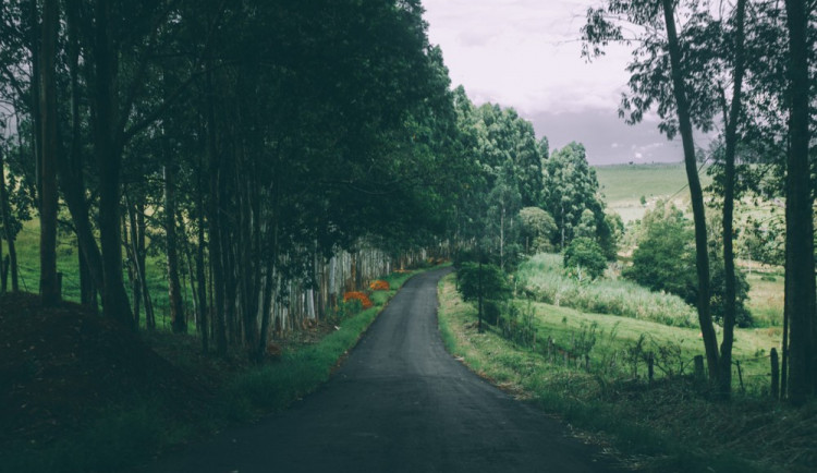 POČASÍ NA PONDĚLÍ: Teploty nepřekročí dvacítku. Slunce vykoukne odpoledne