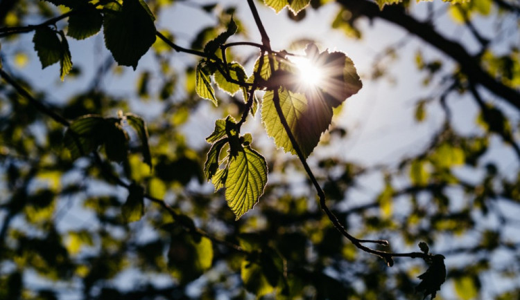 POČASÍ NA PONDĚLÍ: Déšť ustane a teplota se bude pohybovat kolem dvaceti stupňů