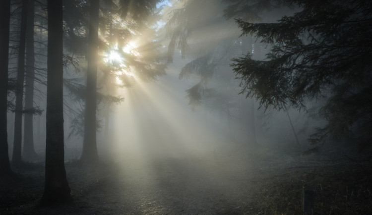Padesátiletá žena se ztratila v mlze. Policisté ji po dvou hodinách našli vyčerpanou