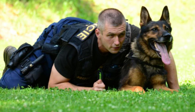 Zfetovaný muž bez řidičáku ujel policejní hlídce. Policejní pes ho našel schovaného v sadu