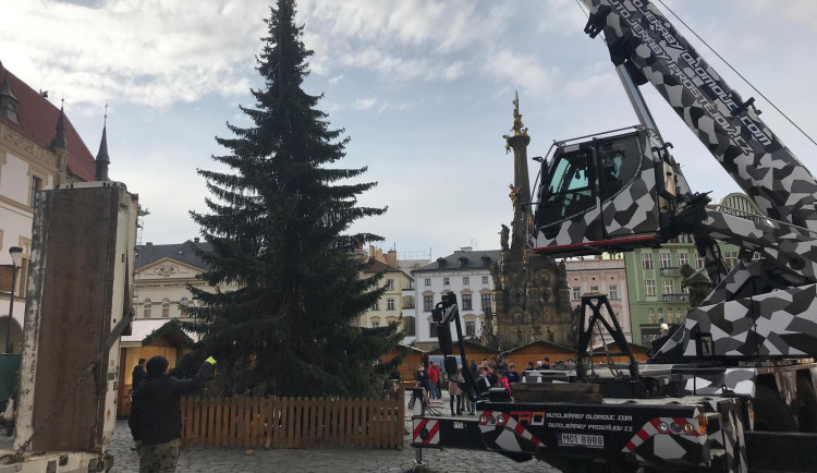 AKTUÁLNĚ: Olomoucký vánoční strom je na svém místě. Je menší než v minulých letech