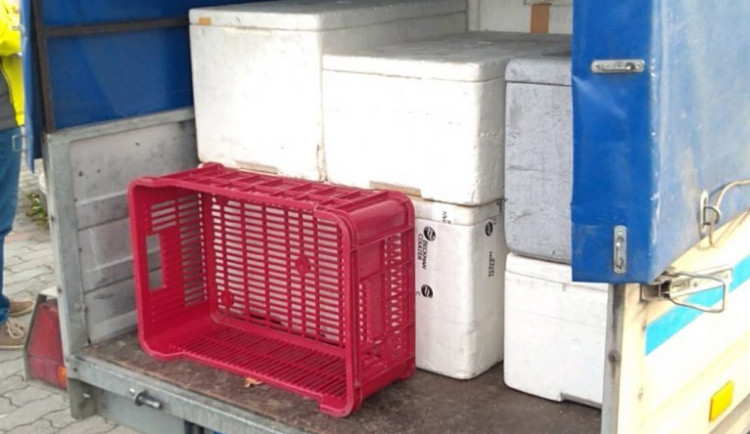 Špinavé bedny plné stovek kilogramů masa. Inspektoři odhalili nelegální rozvážkový prodej.