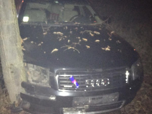 Honička jak z amerického filmu. Řidič ujížděl dvakrát během jednoho dne.