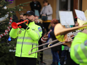 Vánoce v trojském útulku. Pražané přinesli 10 tun krmení a zhruba 800 kilo dek.