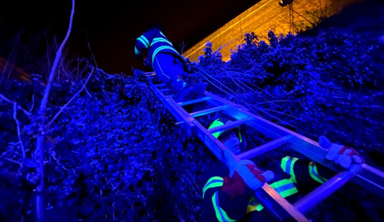 Z vyšehradských hradeb spadla ve čtvrtek večer žena.