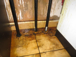 Odpadky a nepořádek. Inspekce uzavřela Hanoj Bistro na Braníku.