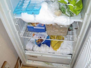 Odpadky a nepořádek. Inspekce uzavřela Hanoj Bistro na Braníku.