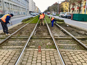 Rekonstrukce trati mezi Poliklinikou Vysočany a Vysočanskou přeruší provoz tramvají