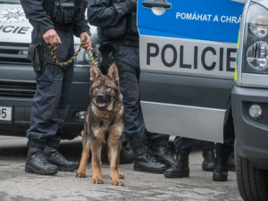 Patnáctiletou dívku, která utekla z ústavu s tříměsíční dcerou, policie našla v Praze 5