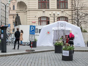 V České republice zemřeli další dva lidé s koronavirem. Obětí je už třináct