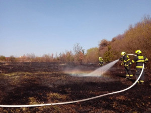 FOTO: U požáru porostu v Hostivaři zasahovali hasiči z osmi stanic