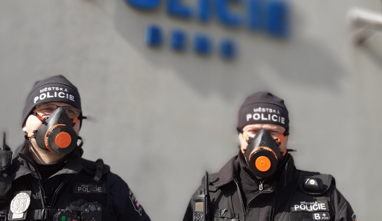 Seniora z Brna štvala popínavá rostlina, trefil souseda kachličkou do hlavy