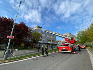 Oční kliniku zachvátily plameny. Hasiči z budovy zachránili želvu