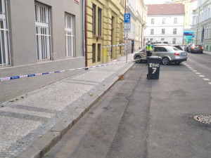 FOTO: V Praze se objevily včelí roje. Strážníci volali na pomoc včelaře