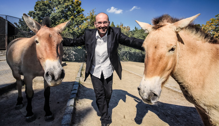 Uzavřením zoologické zahrady jsme přišli o desítky milionů, propouštět jsme nemuseli, říká ředitel pražské zoo Miroslav Bobek.