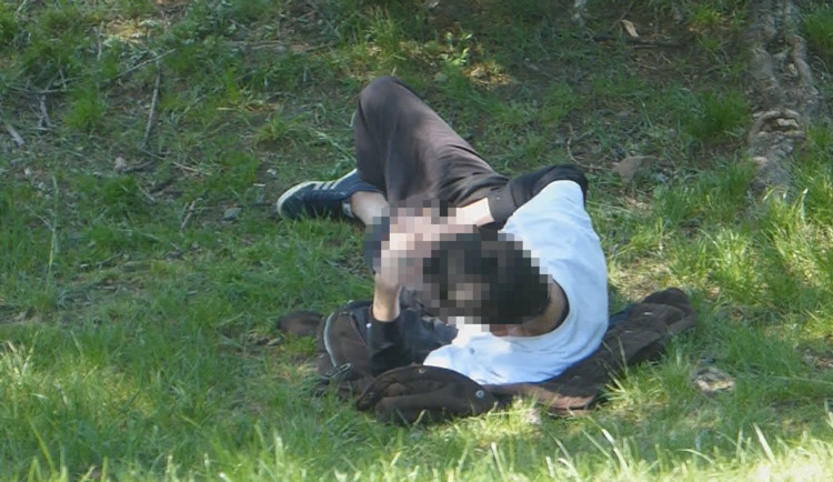 Muže onanujícího na čerstvém vzduchu vyhmátli strážníci. Do parku Krejcárek je přivolali kolemjdoucí.