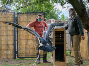 Pražská zoo dnes otevřela vnitřní expozice a pokladny. Některá omezení zůstávají v platnosti