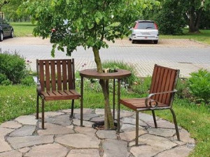 VIDEO: Policie pátrá po muži, který zlomil lípu u Lavičky Václava Havla