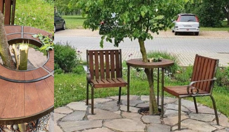 VIDEO: Policie pátrá po muži, který zlomil lípu u Lavičky Václava Havla