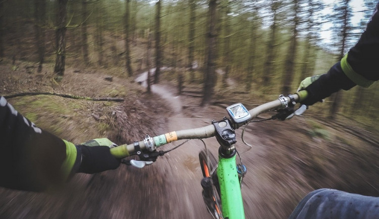 Městské lesy vystaví oficiální trailové tratě pro cyklisty, ty současné nebyly povolené. Část z nich ale zůstane zachována