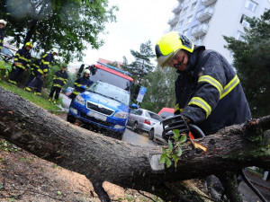 Hasiči kvůli silnému dešti zasahovali u stromů přes cestu i u vytopených sklepů