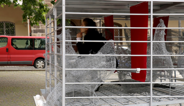 Měsíc v kleci. Aktivisté protestují před Sněmovnou proti klecovému chovu slepic.