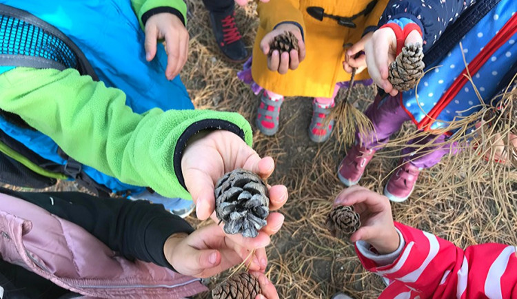 Alternativní škola