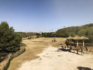 VIZUALIZACE: Z Podbaby do Bohnic přes řeku za sedm minut. Lanovka je schválená