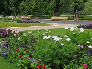 FOTO: Ve Stromovce byly obnoveny záhony. Je na nich přes 13 tisíc letniček