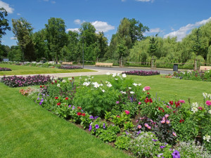 FOTO: Ve Stromovce byly obnoveny záhony. Je na nich přes 13 tisíc letniček