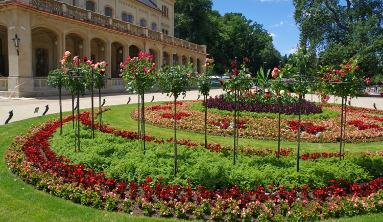 FOTO: Ve Stromovce byly obnoveny záhony. Je na nich přes 13 tisíc letniček