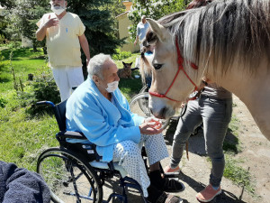 FOTO: Když zvířata pomáhají. V pražské nemocnici zavedli hipoterapii