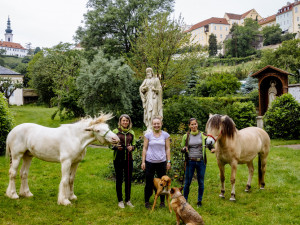 FOTO: Když zvířata pomáhají. V pražské nemocnici zavedli hipoterapii