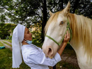 FOTO: Když zvířata pomáhají. V pražské nemocnici zavedli hipoterapii