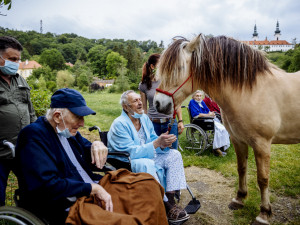 FOTO: Když zvířata pomáhají. V pražské nemocnici zavedli hipoterapii