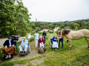 FOTO: Když zvířata pomáhají. V pražské nemocnici zavedli hipoterapii