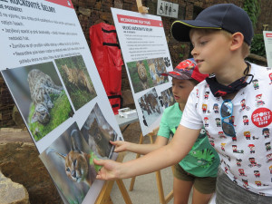 Zoo Praha slavila Mezinárodní den tygrů. Děti čekaly hry i vzdělávání