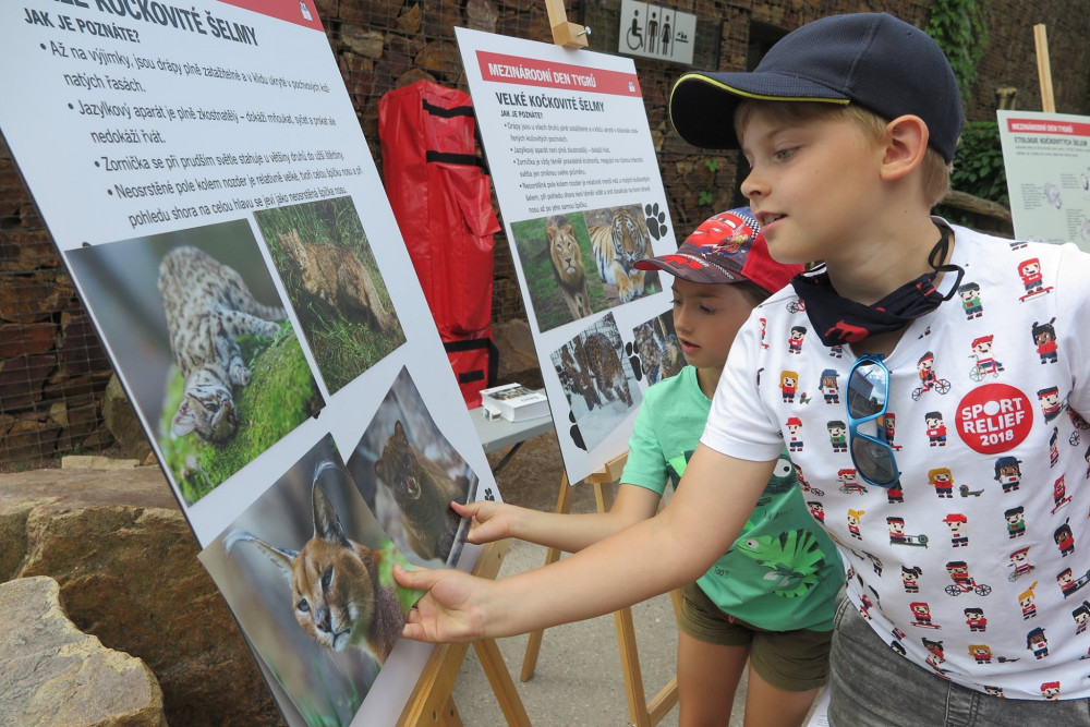 Zoo Praha slavila Mezinárodní den tygrů. Děti čekaly hry i ...