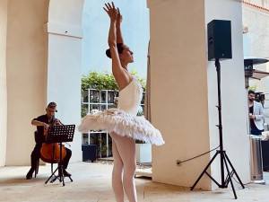 VIDEO, FOTO: Poděkování našim hrdinům. Lidé lidem zorganizovali Den otevřených dveří v hotelu Augustine