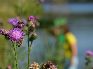 FOTO: Je voda v Praze znečištěná? Arnika provádí analýzu