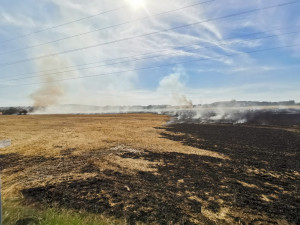 Hasiči likvidovali na okraji Prahy požár pole, jeden člověk byl zraněn