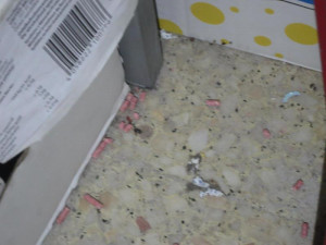 Inspekce dvakrát během měsíce uzavřela stejnou prodejnu. Zboží se povalovalo v myším trusu.