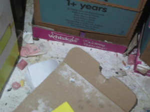 Inspekce dvakrát během měsíce uzavřela stejnou prodejnu. Zboží se povalovalo v myším trusu.